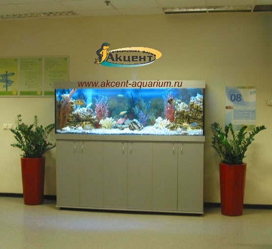Акцент-аквариум,аквариум 1000 литров комната отдыха